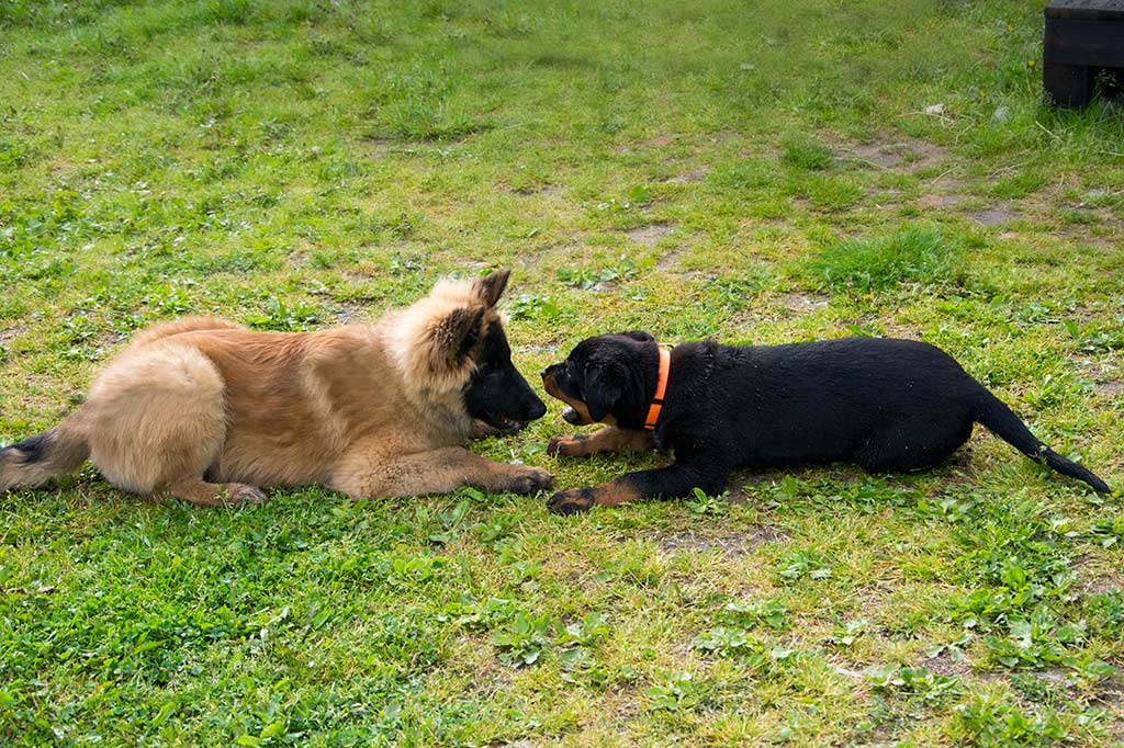 DSC_0187